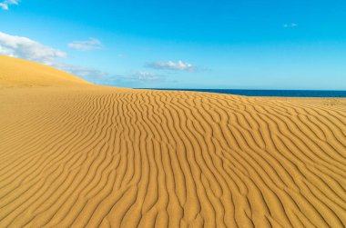 Arka planda Atlantik okyanusu olan Maspalom tepecikleri, Gran Canaria