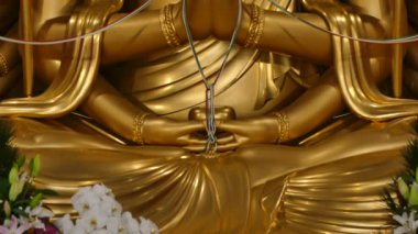 Japonya 'da Tera denilen tapınak ve tapınak manzarasında altın bir Buda heykeli var.