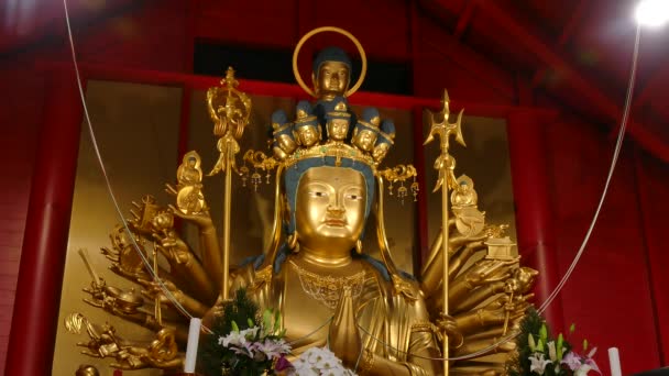 Shrine Temple Scenery Called Tera Japan Golden Buddha Statue — Stock Video