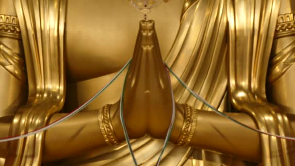 Schrein Und Tempellandschaft Genannt Tera Japan Gibt Eine Goldene Buddha — Stockvideo