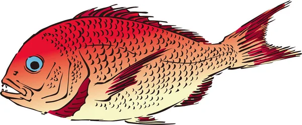 Ukiyo-e Snapper  1 — Stock Vector