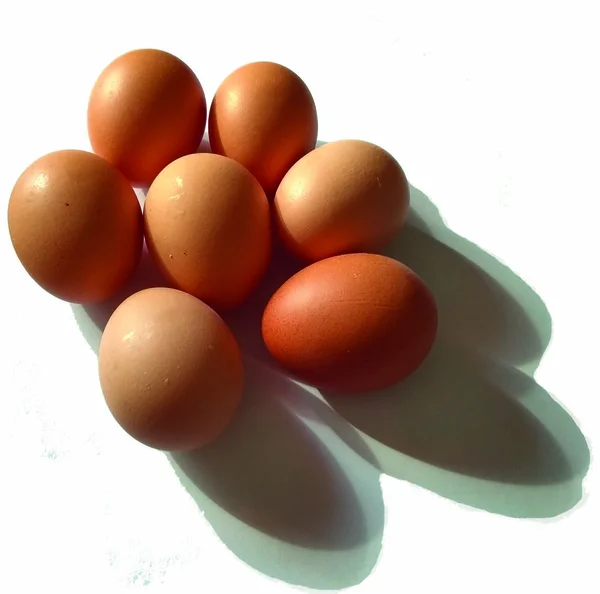 Chicken Eggs White Background Shadow — Stock Photo, Image