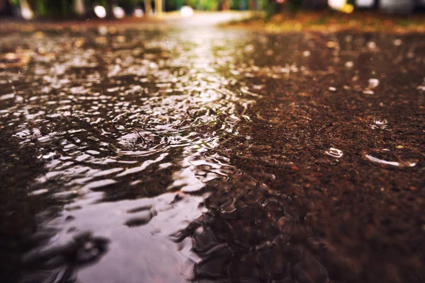 Close Uma Grande Poça Durante Chuva Superfície Água Salpicos Queda — Fotografia de Stock