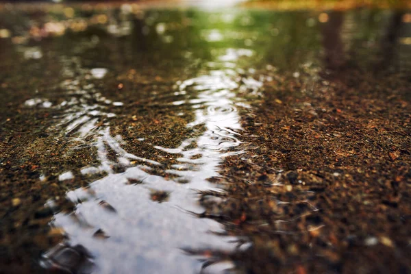 雨中的一个大水坑的特写 落下来的水滴洒落在水面上 — 图库照片