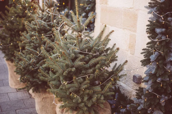 Choinki ze światłami i dekoracjami, zimowe tło świąteczne — Zdjęcie stockowe