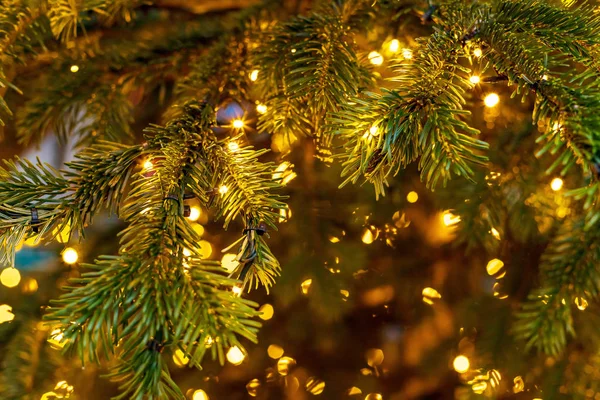 Outdoor decorated Christmas tree with light garland, selective focus