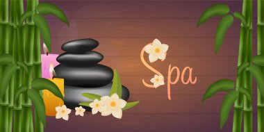 Spa salonu afiş taşlar ve bambu. Tay masajı. Ahşap doku. Vektör çizim
