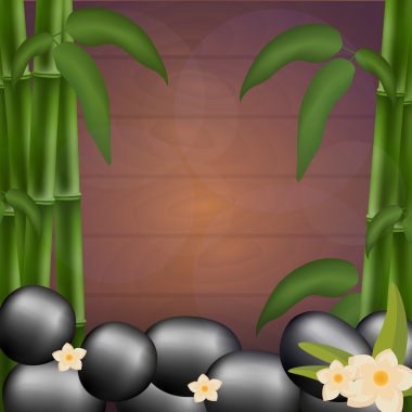 Spa salonu afiş taşlar ve bambu. Tay masajı. Ahşap doku. Vektör çizim