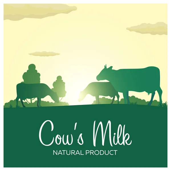 Cow's Milk natural product. Rural landscape with mill and cows. Dawn in the village. — Stock Vector