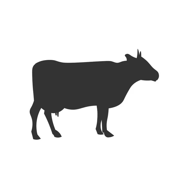 Silueta de vaca negra. Icono de ilustración de diseño vectorial . — Vector de stock
