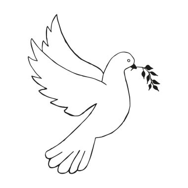 Güvercin zeytin dalı ile. El çizmek. Vektör çizim.