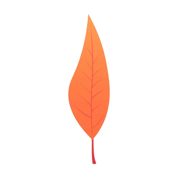 Kollektion schöne bunte Herbstblätter isoliert auf weißem Hintergrund. Vektorillustration — Stockvektor