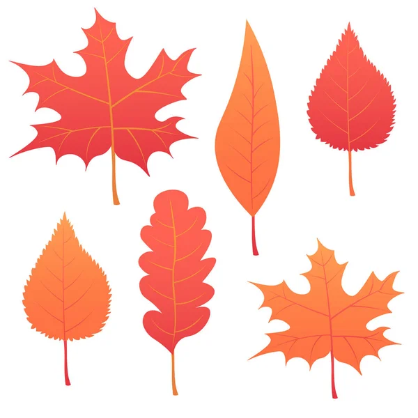 Collection belles feuilles d'automne colorées isolées sur fond blanc. illustration vectorielle — Image vectorielle