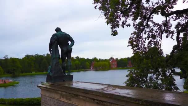 Saint Petersburg Tsarskoye Selo Puşkin Göl Park Rusya — Stok video