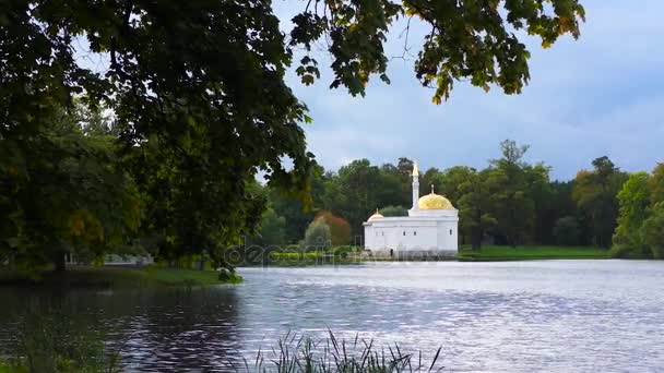 圣彼得堡 Tsarskoye Selo 普希金 湖和公园 俄罗斯 — 图库视频影像
