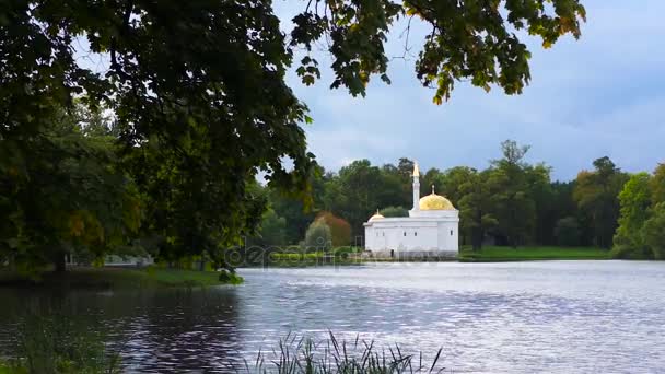 San Petersburgo Tsarskoye Selo Pushkin Lago Parque Rusia — Vídeo de stock