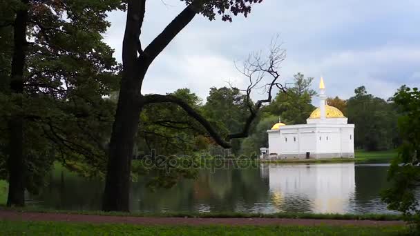 San Petersburgo Tsarskoye Selo Pushkin Lago Parque Rusia — Vídeo de stock