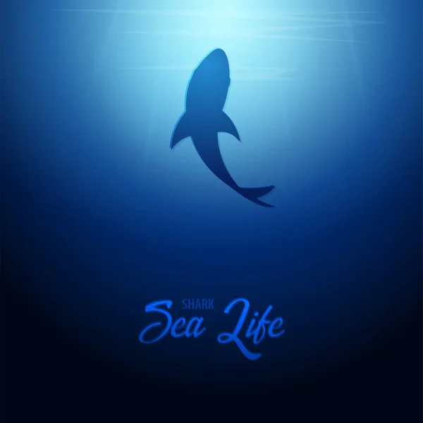 Fondo subacqueo con raggi di sole e silhouette di Squalo. Bandiera dell'oceano profondo. Illustrazione vettoriale a colori . — Vettoriale Stock
