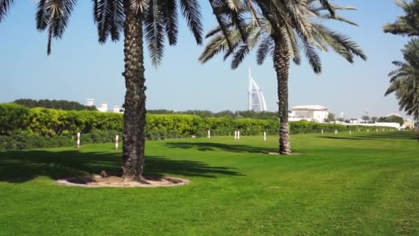 DUBAI, UAE - JANUARY 20, 2018. Burj al Arab on the background. Palm and lawn. — Stock Video