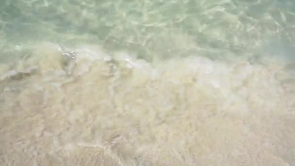 모래가 많은 해변의 바다 의부드러운 물결. — 비디오