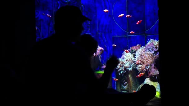 DUBAI, Emiratos Árabes Unidos - 20 de enero de 2018. Hotel Atlantis. Padre y Doughter mirando Amphiprion o peces payaso. Acuario grande . — Vídeos de Stock