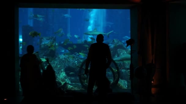 Люди дивляться великий акваріум в Дубаї. — стокове відео