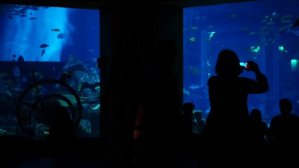 Menschen beobachten großes Aquarium in Dubai. — Stockvideo