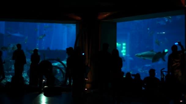 Menschen beobachten großes Aquarium in Dubai. — Stockvideo
