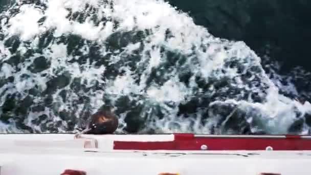 Eau de mer bleue avec trace de bateau. Voyage, tourisme et vacances d'été concept — Video