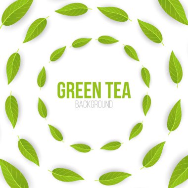 Beyaz arka planda yeşil çay yaprakları. Vektör İllüstrasyonu.