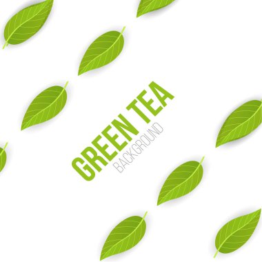 Beyaz arka planda yeşil çay yaprakları. Vektör İllüstrasyonu.