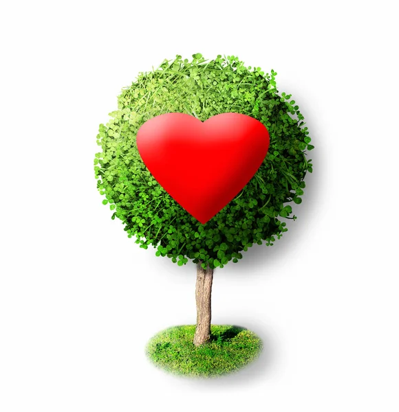 Corazón rojo sobre árbol verde —  Fotos de Stock