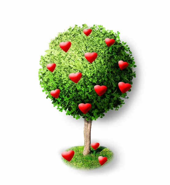 Red hearts on green tree — Stock Photo, Image