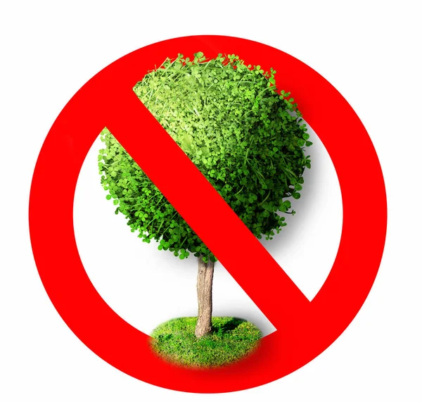Drzewo w znak zakazu czerwony. Stop symbol. Zarejestruj nie drzewa (natura) na białym tle — Zdjęcie stockowe