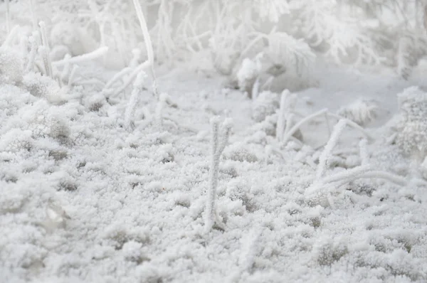 Fondo Invierno Ligero Textura Nieve Macro — Foto de Stock