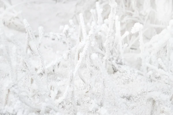 Sfondo Invernale Chiaro Texture Neve Macro — Foto Stock