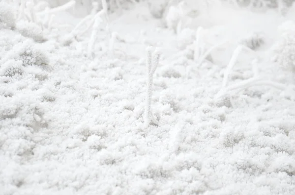 Fondo Invierno Ligero Textura Nieve Macro — Foto de Stock