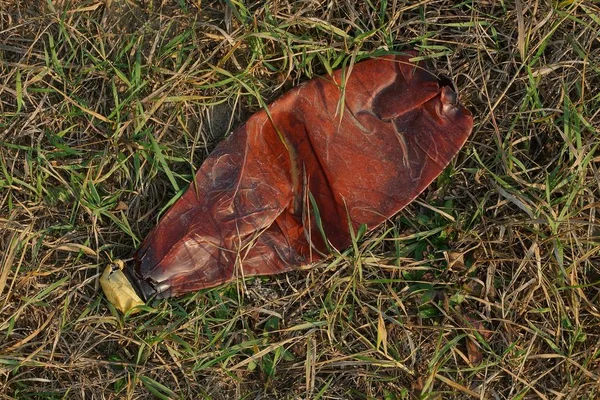 Śmieci Jednej Czerwonej Plastikowej Butelki Leżą Zielonej Suchej Trawie — Zdjęcie stockowe