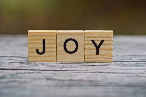 Word Joy Wooden Letters Gray Table — Stock fotografie