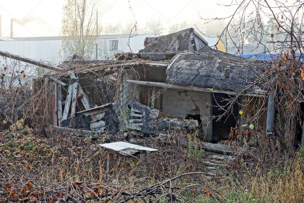 ruined old house overgrown with dry vegetation and grass