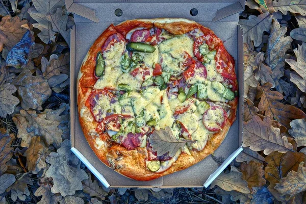 Pizza Redonda Uma Caixa Papel Encontra Folhas Castanhas Secas — Fotografia de Stock