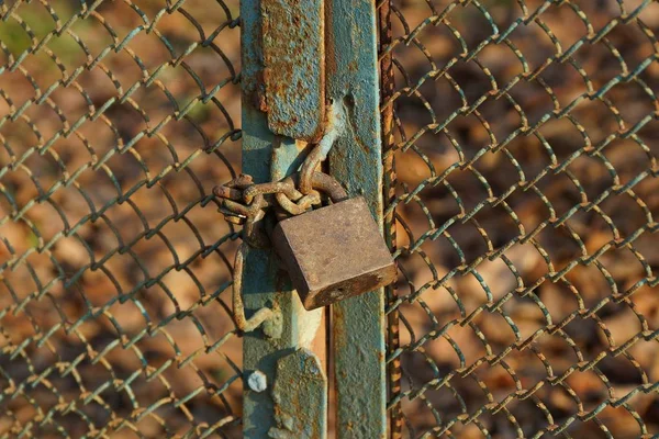 One Gray Padlock Iron Gate Metal Mesh — Stock Photo, Image