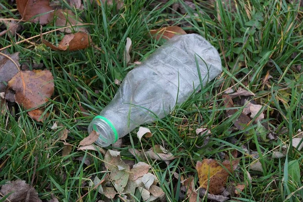 Basura Una Botella Plástico Vacía Encuentra Hierba Verde Hojas Secas —  Fotos de Stock