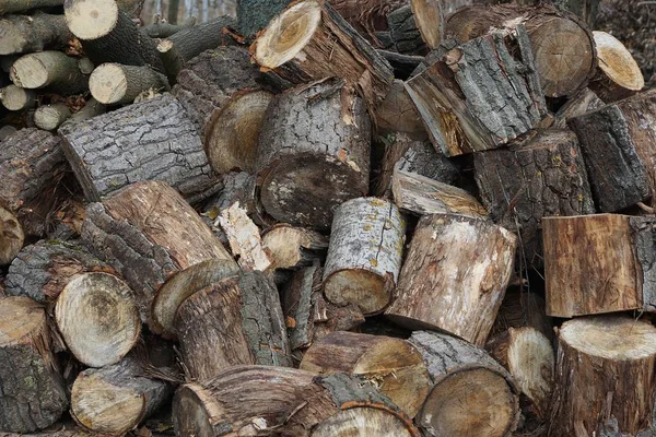 Graue Holzstruktur Von Einem Haufen Baumstämme Auf Der Straße — Stockfoto