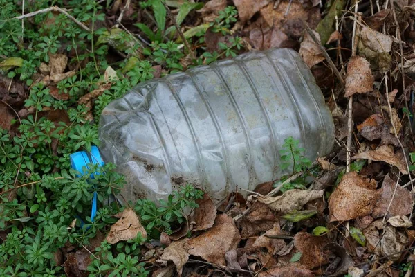 Basura Una Botella Plástico Gris Agujas Secas Bosque —  Fotos de Stock
