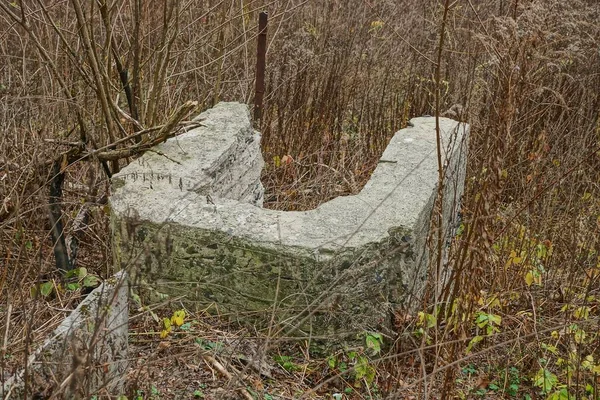 Kurumuş Bir Gölün Üzerindeki Kuru Çimen Bitki Örtüsünün Üzerindeki Eski — Stok fotoğraf