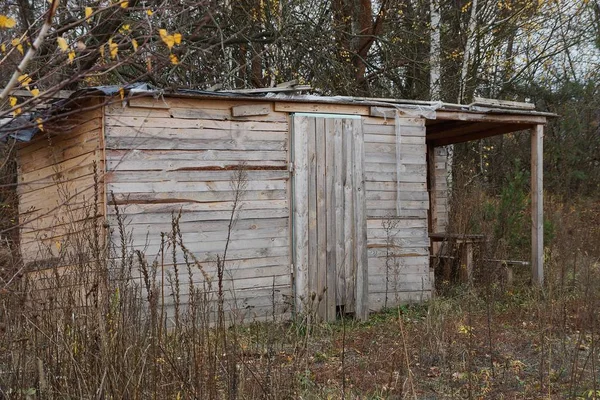 Vecchio Capannone Legno Grigio Erge Sulla Natura Erba Secca — Foto Stock