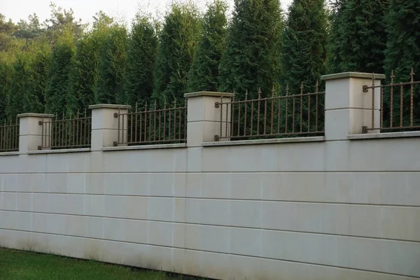 Langer Grauer Zaun Und Eine Reihe Von Nadelbäumen — Stockfoto