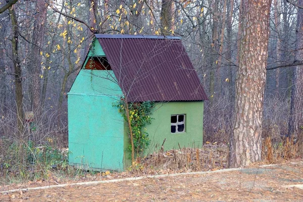Egy Zöld Rétegelt Lemez Ház Modellje Barna Palatető Alatt Egy — Stock Fotó