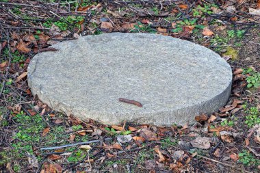 Beton lağım çukuru yerde ve sokakta yeşil çimenler var.